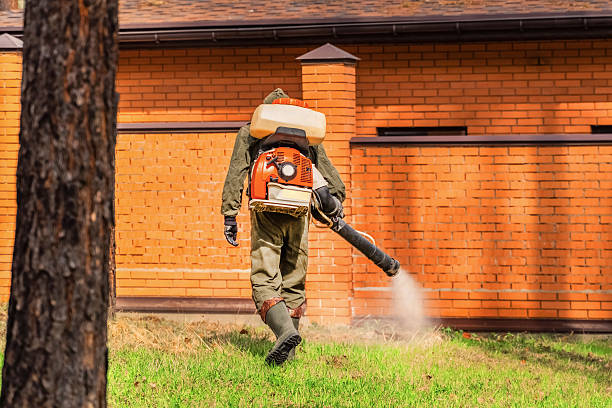 Top rated local Ant Control specialists in Fortuna, CA